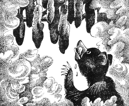 Иллюстрация к книге — Последняя глушь [img07.png]