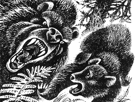 Иллюстрация к книге — Последняя глушь [img13.png]