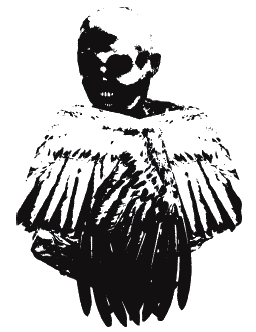 Иллюстрация к книге — Джейк Рэнсом и воющий сфинкс [i_009.png]