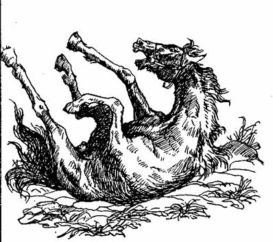 Иллюстрация к книге — Сага о Вигдис и Вига-Льоте [any2fbimgloader1.jpeg]