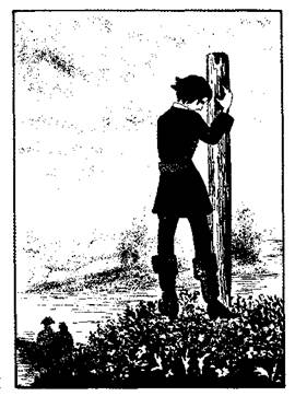 Иллюстрация к книге — Дочь маркиза [any2fbimgloader0.jpeg]