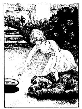 Иллюстрация к книге — Дочь маркиза [any2fbimgloader4.jpeg]