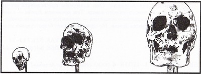 Иллюстрация к книге — Ближе [pic02.jpg]