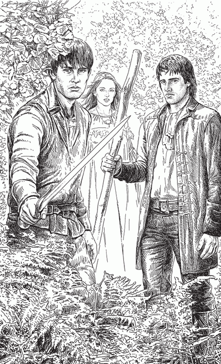 Иллюстрация к книге — Распутья. Добрые соседи [i_001.png]