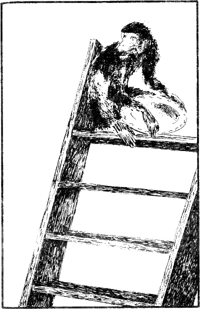 Иллюстрация к книге — Капитан Памфил [_10.png]