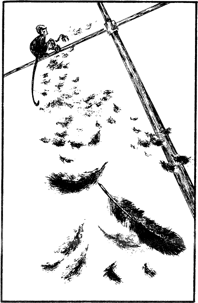 Иллюстрация к книге — Капитан Памфил [_4.png]