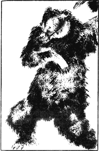 Иллюстрация к книге — Капитан Памфил [_8.png]