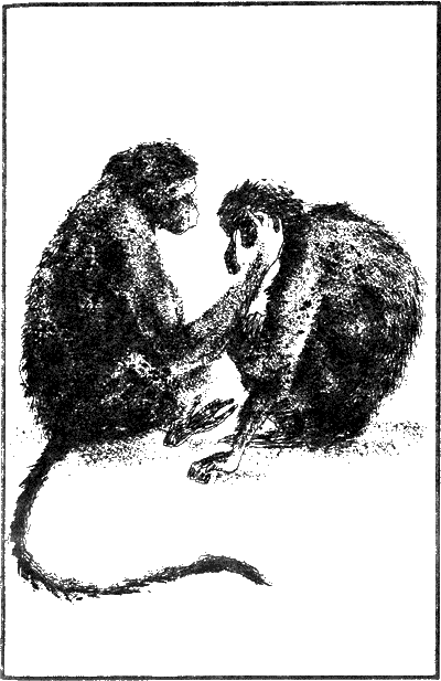 Иллюстрация к книге — Капитан Памфил [_9.png]