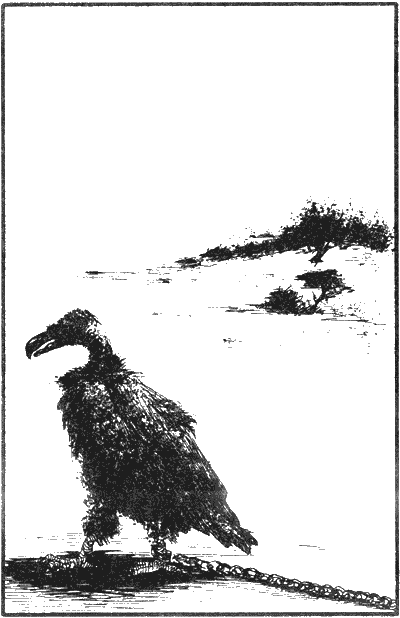 Иллюстрация к книге — История моих животных [Untitled11.png]