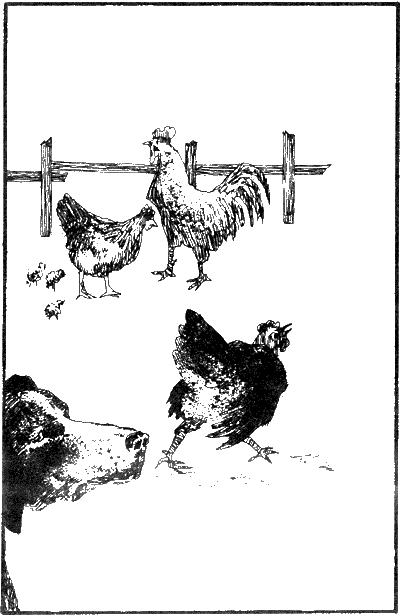 Иллюстрация к книге — История моих животных [Untitled13.png]