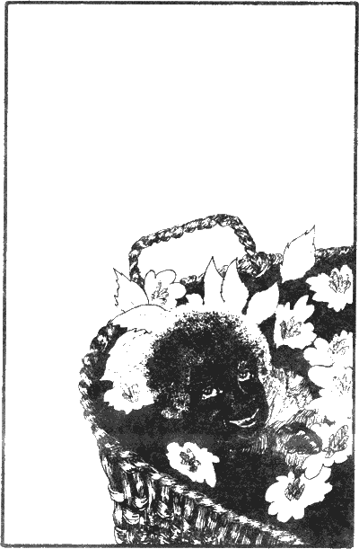 Иллюстрация к книге — История моих животных [Untitled6.png]