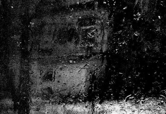 Иллюстрация к книге — Сказки старого Вильнюса II [i_001.jpg]