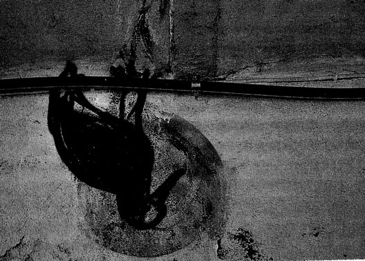 Иллюстрация к книге — Сказки старого Вильнюса II [i_009.jpg]