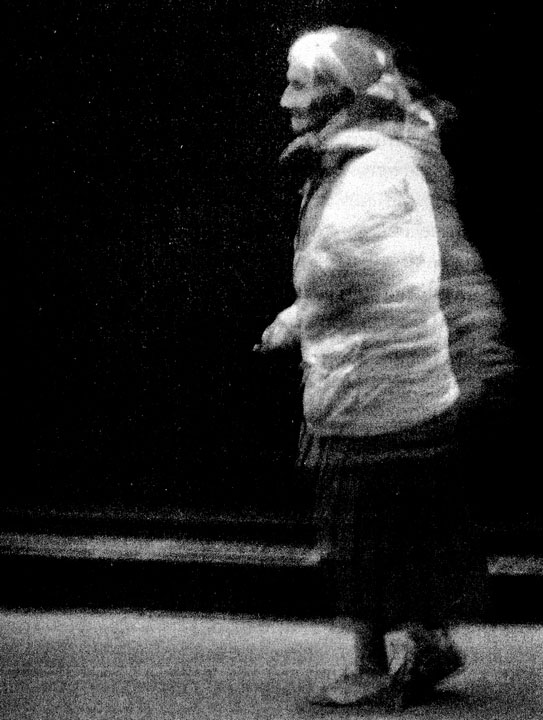 Иллюстрация к книге — Сказки старого Вильнюса II [i_024.jpg]