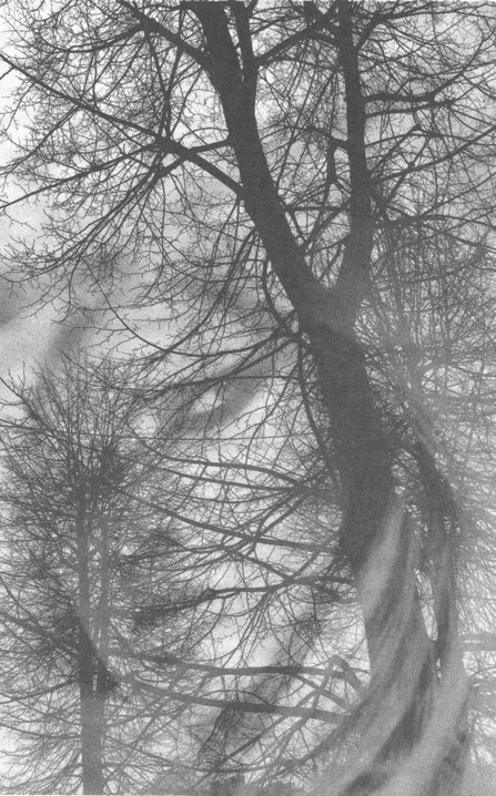 Иллюстрация к книге — Сказки старого Вильнюса [i_005.jpg]