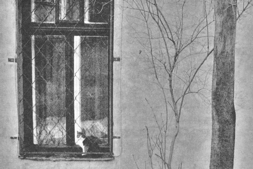 Иллюстрация к книге — Сказки старого Вильнюса [i_036.jpg]