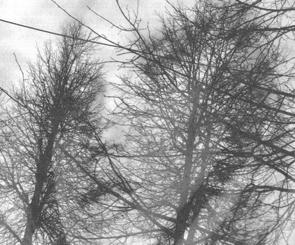 Иллюстрация к книге — Сказки старого Вильнюса [i_038.jpg]