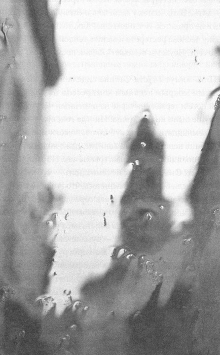 Иллюстрация к книге — Сказки старого Вильнюса [i_045.jpg]