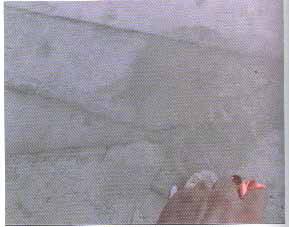 Иллюстрация к книге — Полая женщина. Мир Барби изнутри и снаружи [image030.jpg]