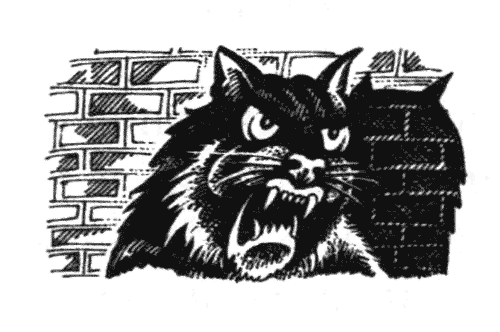 Иллюстрация к книге — Голоса в ночи [i_002.png]