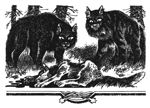 Иллюстрация к книге — Голоса в ночи [i_003.png]