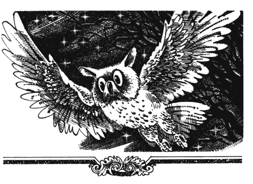 Иллюстрация к книге — Голоса в ночи [i_007.png]