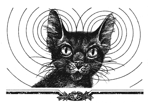 Иллюстрация к книге — Голоса в ночи [i_009.png]