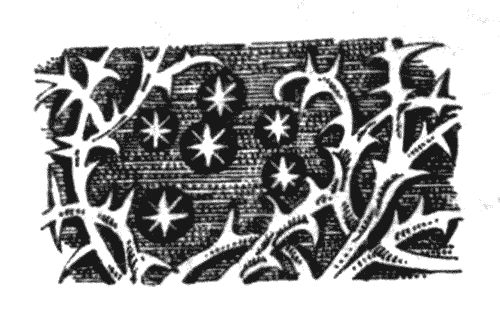 Иллюстрация к книге — Голоса в ночи [i_010.png]