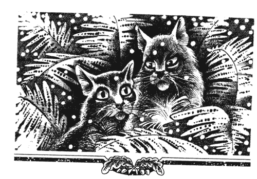 Иллюстрация к книге — Голоса в ночи [i_011.png]