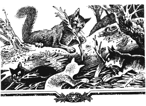 Иллюстрация к книге — Голоса в ночи [i_013.png]