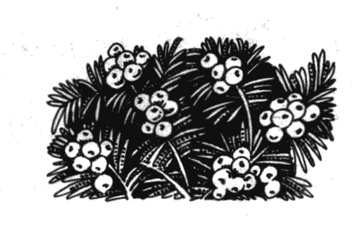 Иллюстрация к книге — Голоса в ночи [i_015.png]