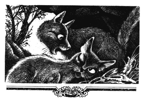 Иллюстрация к книге — Голоса в ночи [i_016.png]