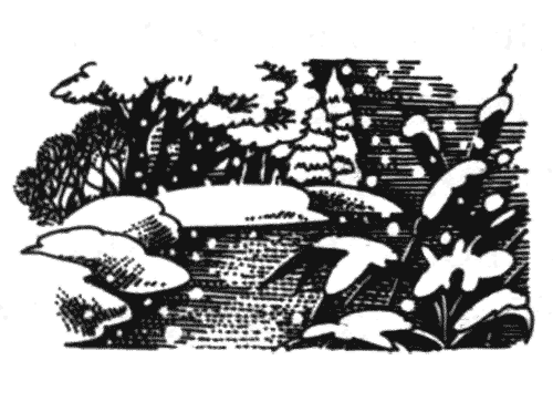 Иллюстрация к книге — Голоса в ночи [i_017.png]