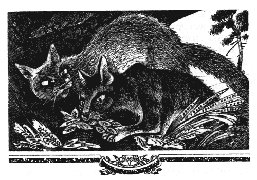 Иллюстрация к книге — Голоса в ночи [i_018.png]