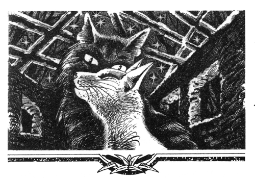 Иллюстрация к книге — Голоса в ночи [i_019.png]