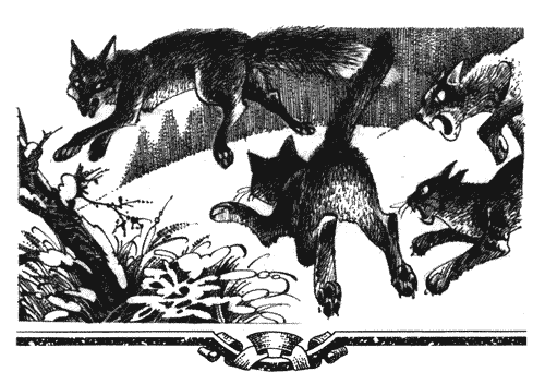 Иллюстрация к книге — Голоса в ночи [i_020.png]