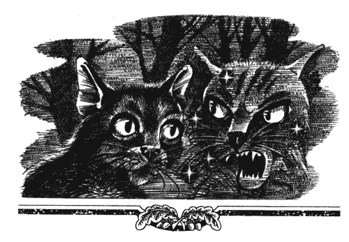 Иллюстрация к книге — Голоса в ночи [i_022.png]