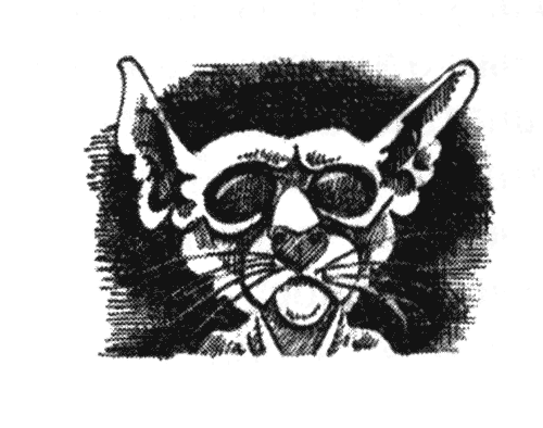 Иллюстрация к книге — Голоса в ночи [i_023.png]