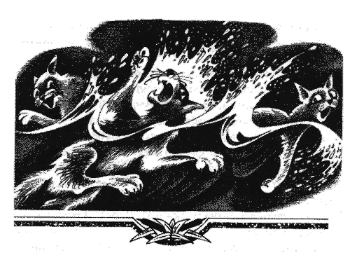 Иллюстрация к книге — Голоса в ночи [i_024.png]