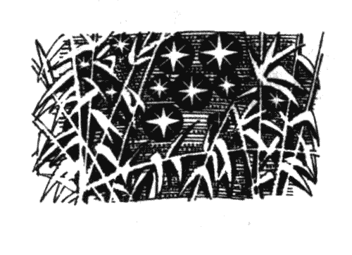 Иллюстрация к книге — Голоса в ночи [i_026.png]