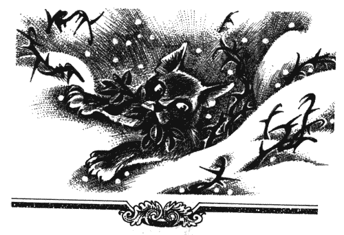 Иллюстрация к книге — Голоса в ночи [i_027.png]