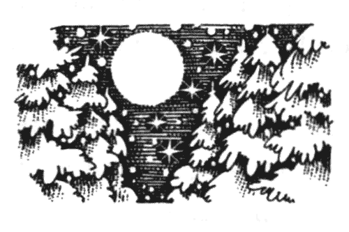 Иллюстрация к книге — Голоса в ночи [i_028.png]