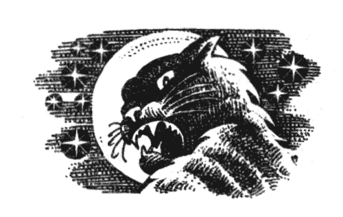 Иллюстрация к книге — Голоса в ночи [i_033.png]