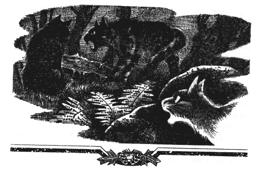 Иллюстрация к книге — Голоса в ночи [i_035.png]