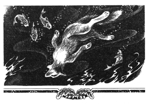 Иллюстрация к книге — Голоса в ночи [i_037.png]