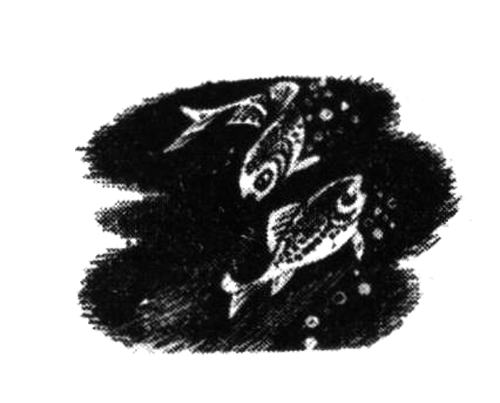 Иллюстрация к книге — Голоса в ночи [i_038.png]