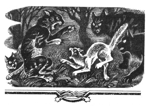 Иллюстрация к книге — Голоса в ночи [i_039.png]