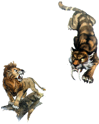 Иллюстрация к книге — Волшебник Изумрудного города [i_024.png]