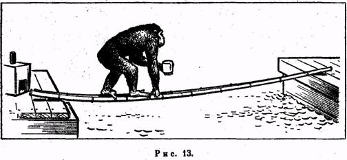 Иллюстрация к книге — Психология. Учебник для учащихся педагогических училищ [image014.jpg]