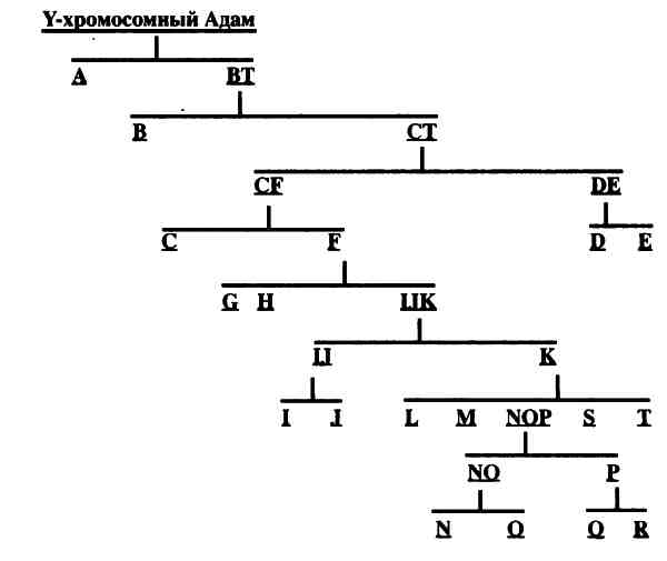Иллюстрация к книге — 10 тысяч лет русской истории. От Потопа до Крещения Руси [i_003.jpg]